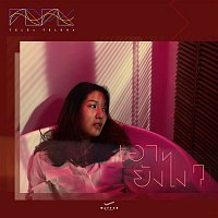 Přední strana obalu CD Now What?