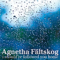 Agnetha Faltskog, Gary Barlow – I Should've Followed You Home