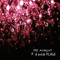 The Moment Is A Wild Place