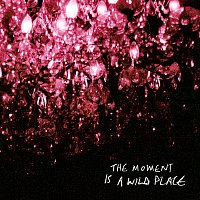 Gord Downie, Bob Rock – The Moment Is A Wild Place