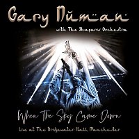 Přední strana obalu CD When the Sky Came Down (Live at The Bridgewater Hall, Manchester)
