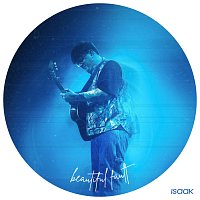 Přední strana obalu CD Beautiful Fault