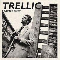 Baxter Dury – Trellic