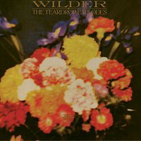 The Teardrop Explodes – Wilder