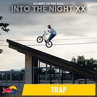 Sounds of Red Bull – Into the Night XX