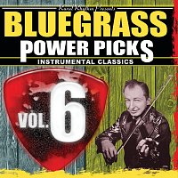 Různí interpreti – Bluegrass Power Picks: Instrumental Classics [Vol. 6]