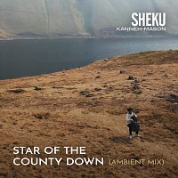 Sheku Kanneh-Mason, Matt Robertson – Star of the County Down [Matt Robertson Ambient Mix]