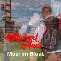 Michael Leitner – Musi im Bluat