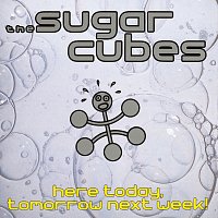 The Sugarcubes – Here Today, Tomorrow Next Week!
