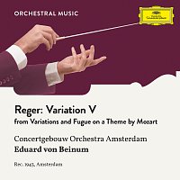 Reger: Variations and Fugue on a Theme by Mozart, Op. 132: Variation V