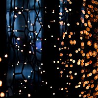 Tung Anh – Focus Lights