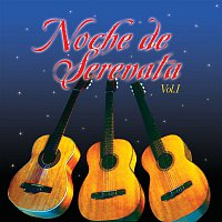 Various  Artists – Noche de Serenata Volumen 1