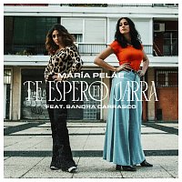 Přední strana obalu CD Te Espero en Jarra