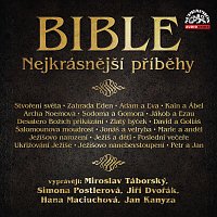 Miroslav Táborský, Simona Postlerová, Jiří Dvořák, Hana Maciuchová, Jan Kanyza – Bible - Nejkrásnější příběhy