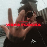 SKiNNY BARBER – Waka Flocka