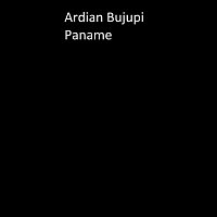 Ardian Bujupi – Paname