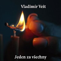 Vladimír Veit – Jeden za všechny
