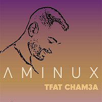 Přední strana obalu CD Tfat Chem3a