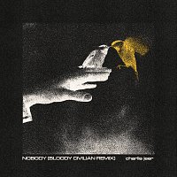 Charlie Jeer, Bloody Civilian – Nobody [Bloody Civilian Remix]