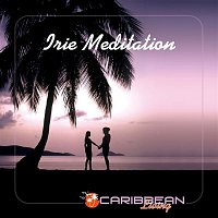 Various Artists.. – Irie Meditation