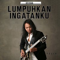 Felix Irwan – Lumpuhkan Ingatanku