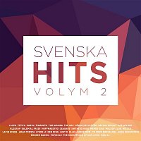 Blandade Artister – Svenska hits vol 2