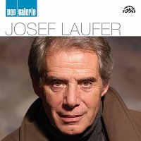Josef Laufer – Pop galerie MP3