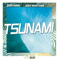 DeStorm, Joey Montana – Tsunami