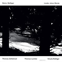 Thomas Zehetmair, Thomas Larcher, Ursula Holliger – Holliger: Lieder ohne Worte