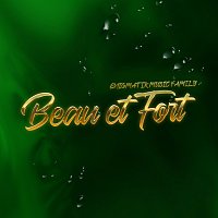 Přední strana obalu CD Beau et fort