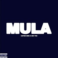 UNTER OBSI, YY, Big Toe, DIZZY – MULA