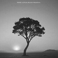 Přední strana obalu CD Cole Ryder 2