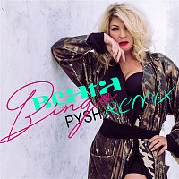 Přední strana obalu CD Bingo (Pysh Remix)