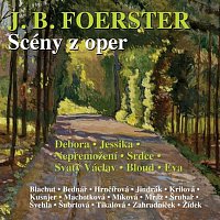 Různí interpreti – Scény z oper CD