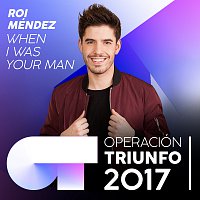 When I Was Your Man [Operación Triunfo 2017]