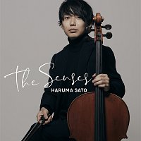 Haruma Sato – The Senses