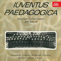 Přední strana obalu CD Iuventus Paedagogica
