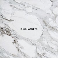 Dimension – If You Want To