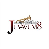 Juvavum 8