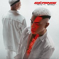 ECKO – Géminis