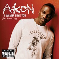 Akon, Snoop Dogg – I Wanna Love You