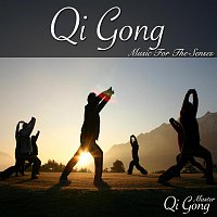Qi Gong Master – Qi Gong Music For The Senses