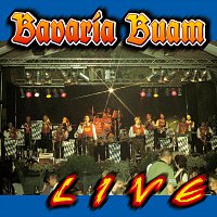 Bavaria Buam – Live