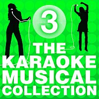 The City of Prague Philharmonic Orchestra – The Karaoke Musical Collection [Vol. 3]