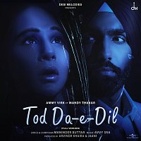 Ammy Virk – Tod Da E Dil Full Version