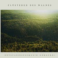 Přední strana obalu CD Flüstern des Waldes