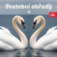 Různí interpreti – Svatební obřady II.
