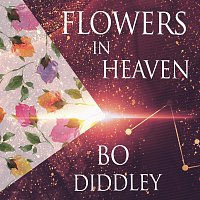 Bo Diddley – Flowers In Heaven