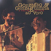 Gonzagao E Gonzaguinha – A Vida Do Viajante