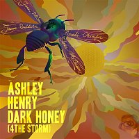 Ashley Henry, Makaya McCraven – Dark Honey (4TheStorm)